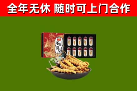 高州市回收冬虫夏草价格
